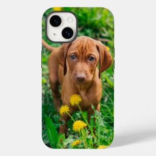 Niedliche Kleintiere Pointer Puppy Case-Mate iPhone 14 Hülle