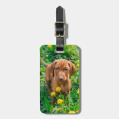 Niedliche Kleintiere | Pointer Puppy Gepäckanhänger (Vorderseite vertikal)