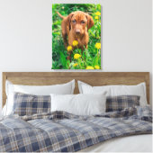Niedliche Kleintiere | Pointer Puppy Leinwanddruck (Insitu (Schlafzimmer))