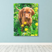 Niedliche Kleintiere | Pointer Puppy Leinwanddruck (Insitu (Holzboden))