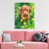Niedliche Kleintiere | Pointer Puppy Leinwanddruck (Insitu (Wohnzimmer))