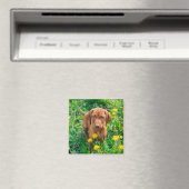 Niedliche Kleintiere | Pointer Puppy Magnet (In Situ (Geschirrspüler))