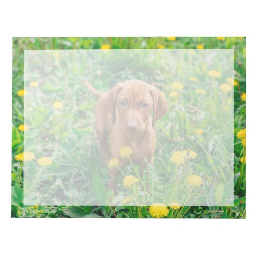 Niedliche Kleintiere | Pointer Puppy Notizblock (Vorderseite)