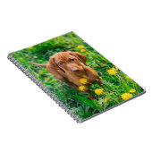 Niedliche Kleintiere | Pointer Puppy Notizblock (Rechte Seite)