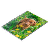 Niedliche Kleintiere | Pointer Puppy Notizblock (Linke Seite)