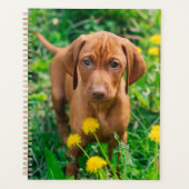 Niedliche Kleintiere | Pointer Puppy Planer (Vorderseite)