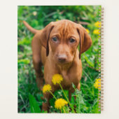 Niedliche Kleintiere | Pointer Puppy Planer (Rückseite)