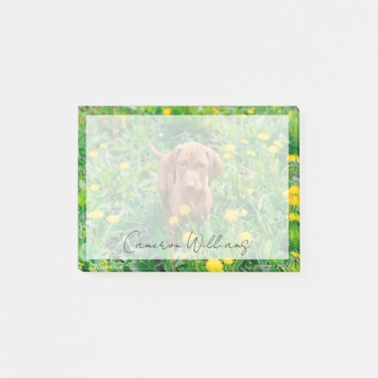 Niedliche Kleintiere | Pointer Puppy Post-it Klebezettel (Vorderseite)