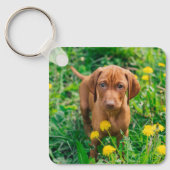 Niedliche Kleintiere | Pointer Puppy Schlüsselanhänger (Vorderseite)