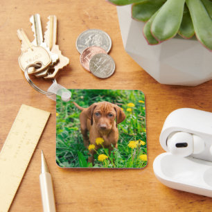 Niedliche Kleintiere Pointer Puppy Schlüsselanhänger