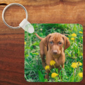 Niedliche Kleintiere | Pointer Puppy Schlüsselanhänger (Vorderseite)