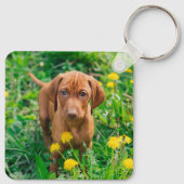 Niedliche Kleintiere | Pointer Puppy Schlüsselanhänger (Rückseite)