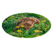 Niedliche Kleintiere | Pointer Puppy Schneidebrett (Ecke)