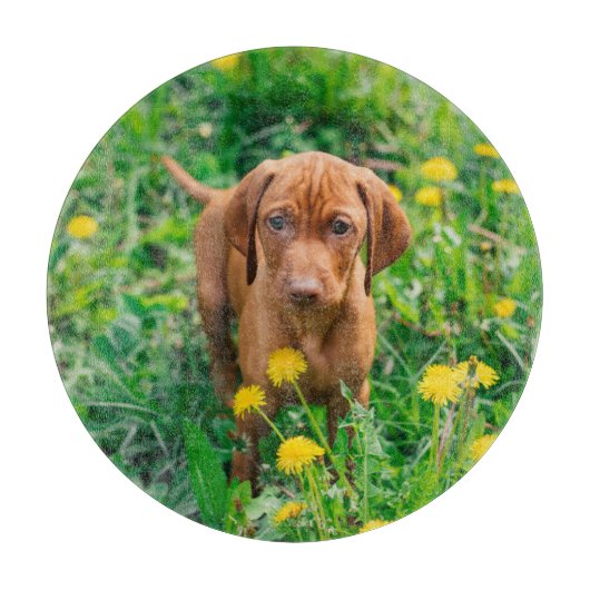 Niedliche Kleintiere | Pointer Puppy Schneidebrett (Vorderseite)
