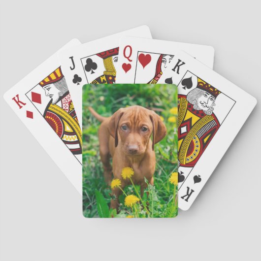 Niedliche Kleintiere | Pointer Puppy Spielkarten (Rückseite)