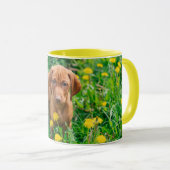 Niedliche Kleintiere | Pointer Puppy Tasse (VorderseiteRechts)