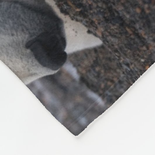 Niedliche Kleintiere | Polar Bear Family Alaska Fleecedecke (Ecke)