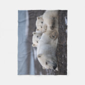 Niedliche Kleintiere | Polar Bear Family Alaska Fleecedecke (Vorderseite)