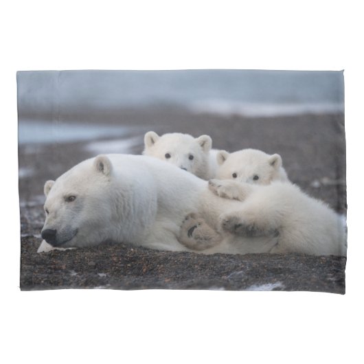 Niedliche Kleintiere | Polar Bear Family Alaska Kissenbezug (Vorderseite)