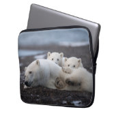 Niedliche Kleintiere | Polar Bear Family Alaska Laptopschutzhülle (Vorderseite Links)