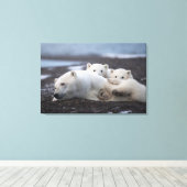 Niedliche Kleintiere | Polar Bear Family Alaska Leinwanddruck (Insitu (Holzboden))