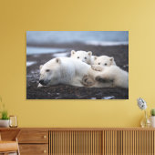 Niedliche Kleintiere | Polar Bear Family Alaska Leinwanddruck (Insitu (Wohnzimmer))