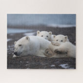 Niedliche Kleintiere | Polar Bear Family Alaska Puzzle (Horizontal)