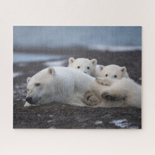 Niedliche Kleintiere   Polar Bear Family Alaska Puzzle