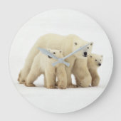 Niedliche Kleintiere | Polar Bear Family Große Wanduhr (Vorderseite)