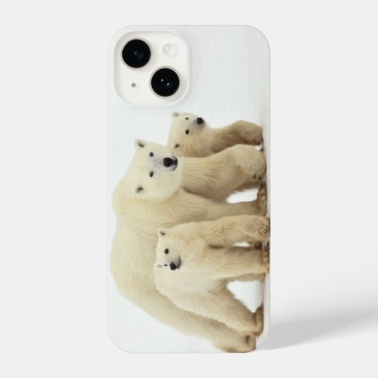 Niedliche Kleintiere | Polar Bear Family iPhone Hülle (Rückseite)