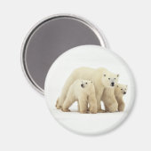 Niedliche Kleintiere | Polar Bear Family Magnet (Vorderseite/Rückseite)