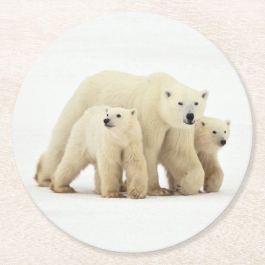 Niedliche Kleintiere | Polar Bear Family Runder Pappuntersetzer (Vorderseite)