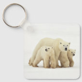 Niedliche Kleintiere | Polar Bear Family Schlüsselanhänger (Vorderseite)