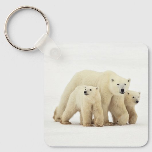 Niedliche Kleintiere | Polar Bear Family Schlüsselanhänger (Vorderseite)