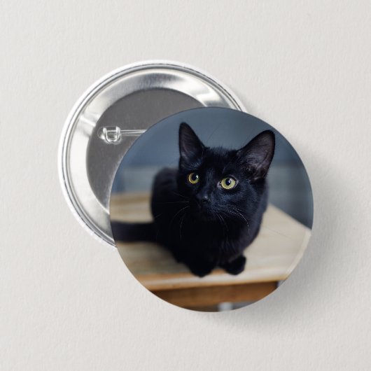 Niedliche Kleintiere | Portrait einer Schwarzen Ka Button (Vorne & Hinten)