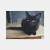 Niedliche Kleintiere | Portrait einer Schwarzen Ka Fleecedecke (Vorderseite (Horizontal))