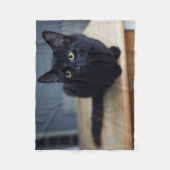 Niedliche Kleintiere | Portrait einer Schwarzen Ka Fleecedecke (Vorderseite)