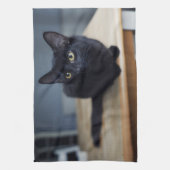 Niedliche Kleintiere | Portrait einer Schwarzen Ka Geschirrtuch (Vertikal)