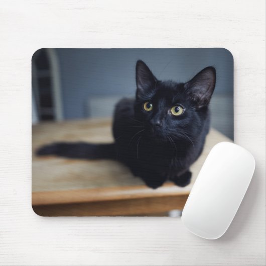 Niedliche Kleintiere | Portrait einer Schwarzen Ka Mousepad (Mit Mouse)
