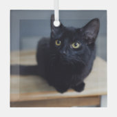 Niedliche Kleintiere | Portrait einer Schwarzen Ka Ornament Aus Glas (Vorderseite)