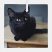 Niedliche Kleintiere | Portrait einer Schwarzen Ka Ornament Aus Glas (Rückseite)