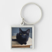 Niedliche Kleintiere | Portrait einer Schwarzen Ka Schlüsselanhänger (Vorne)