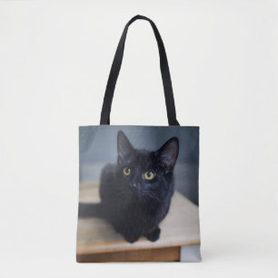 Niedliche Kleintiere Portrait einer Schwarzen Ka Tasche