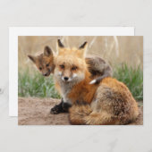 Niedliche Kleintiere | Red Fox & Baby Dankeskarte (Vorne/Hinten)