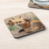 Niedliche Kleintiere | Red Fox & Baby Getränkeuntersetzer (Linke Seite)
