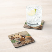 Niedliche Kleintiere | Red Fox & Baby Getränkeuntersetzer (Rechte Seite)