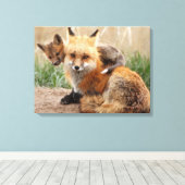 Niedliche Kleintiere | Red Fox & Baby Leinwanddruck (Insitu (Holzboden))