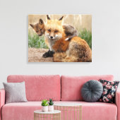 Niedliche Kleintiere | Red Fox & Baby Leinwanddruck (Insitu (Wohnzimmer))
