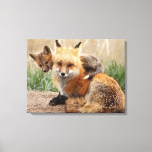 Niedliche Kleintiere   Red Fox & Baby Leinwanddruck