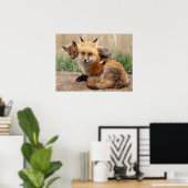 Niedliche Kleintiere | Red Fox & Baby Poster (Heimbüro)